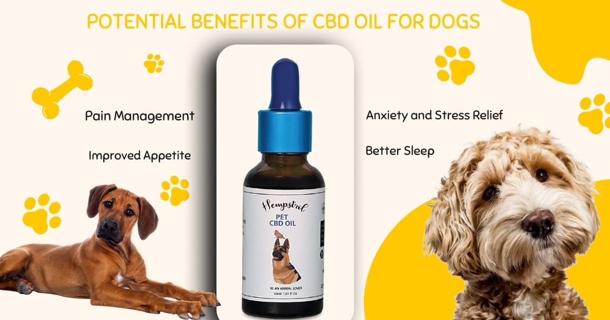 buy cbd oil for dogs